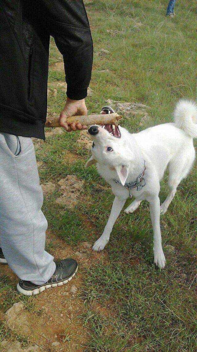 daily picdump 96 pics 45.html - 96 HD Photos | Premium Gallery 2017