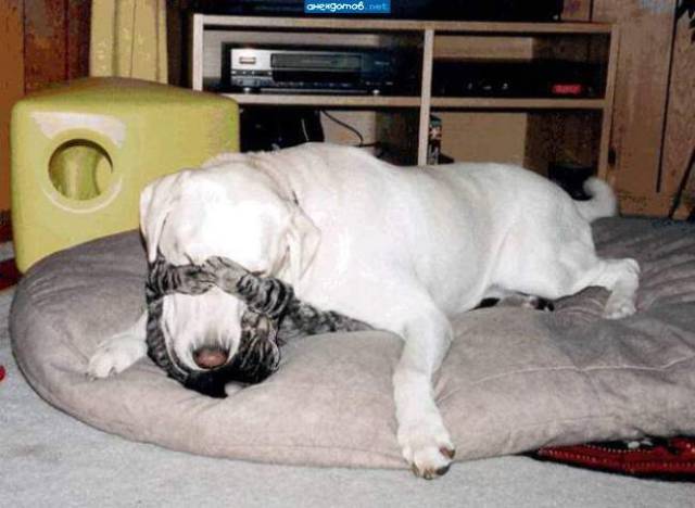 daily picdump 94 pics 36.html - 94 HD Photos | Premium Gallery 2017