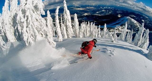 daily picdump 94 pics 36.html - 94 HD Photos | Premium Gallery 2017