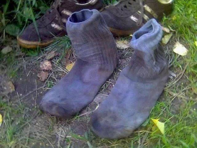 daily picdump 94 pics 36.html - 94 HD Photos | Premium Gallery 2017