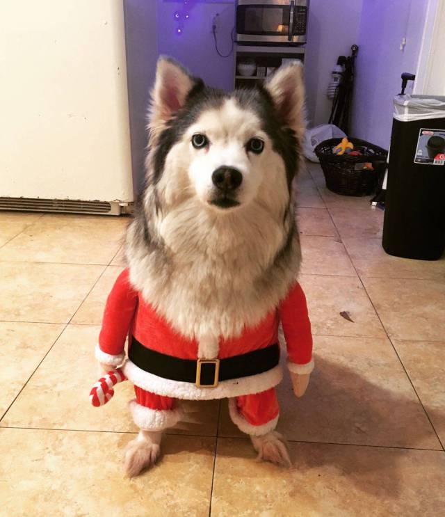 daily picdump 94 pics 36.html - 94 HD Photos | Premium Gallery 2017