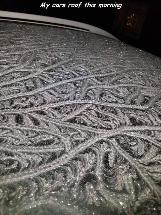 daily picdump 94 pics 36.html - 94 HD Photos | Premium Gallery 2017