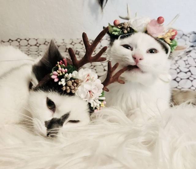 daily picdump 92 pics 7.html - 92 HD Photos | Premium Gallery 2017