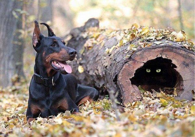 daily picdump 92 pics 7.html - 92 HD Photos | Premium Gallery 2017