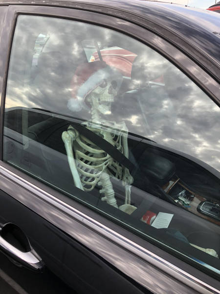 morning picdump 51 pics 15.html - 51 HD Photos | Premium Gallery 2017