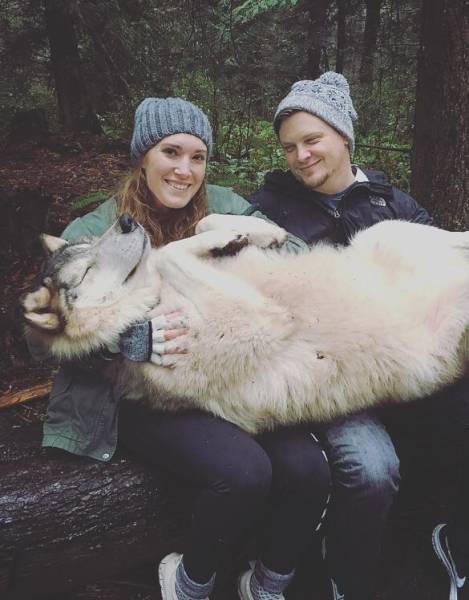 morning picdump 51 pics 15.html - 51 HD Photos | Premium Gallery 2017