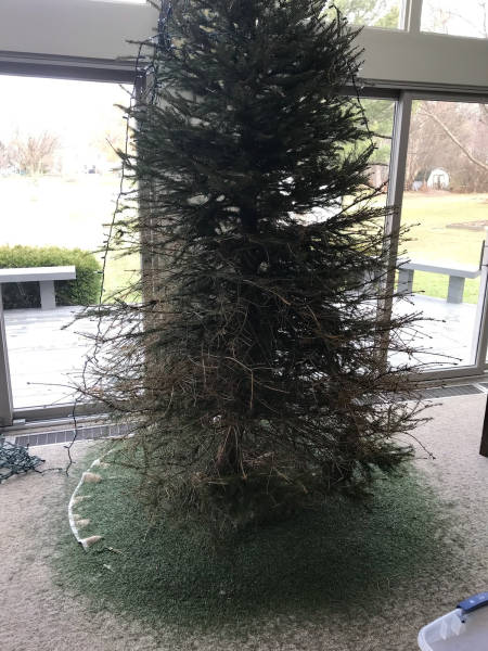 morning picdump 51 pics 15.html - 51 HD Photos | Premium Gallery 2017