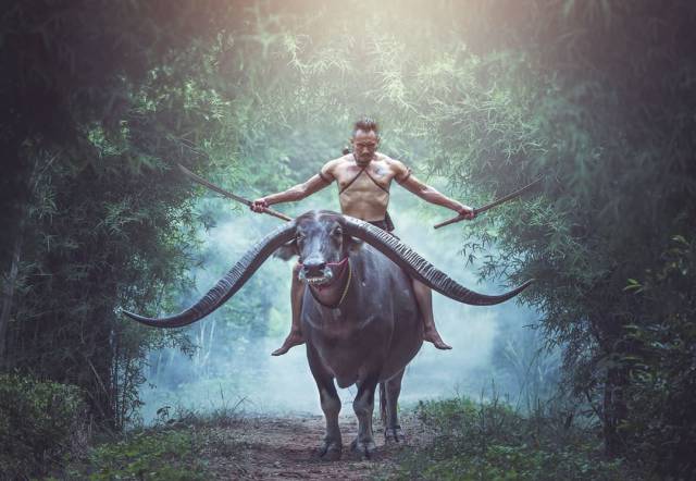 morning picdump 51 pics 15.html - 51 HD Photos | Premium Gallery 2017