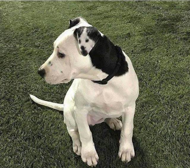 morning picdump 50 pics 21.html - 50 HD Photos | Premium Gallery 2017