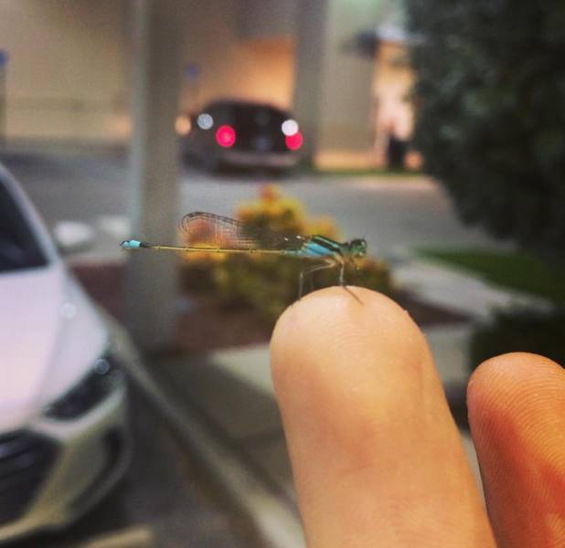 morning picdump 50 pics 21.html - 50 HD Photos | Premium Gallery 2017