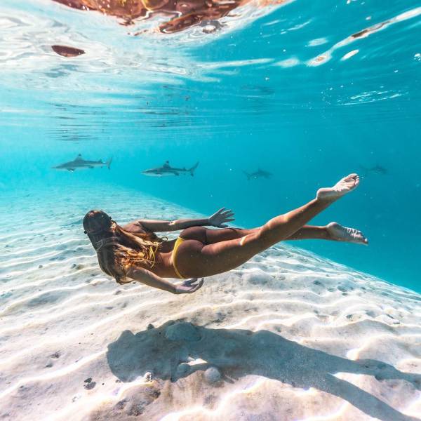 grownup corner 64 pics 2 gifs 21.html - 64 HD GIF | Premium Gallery 2017