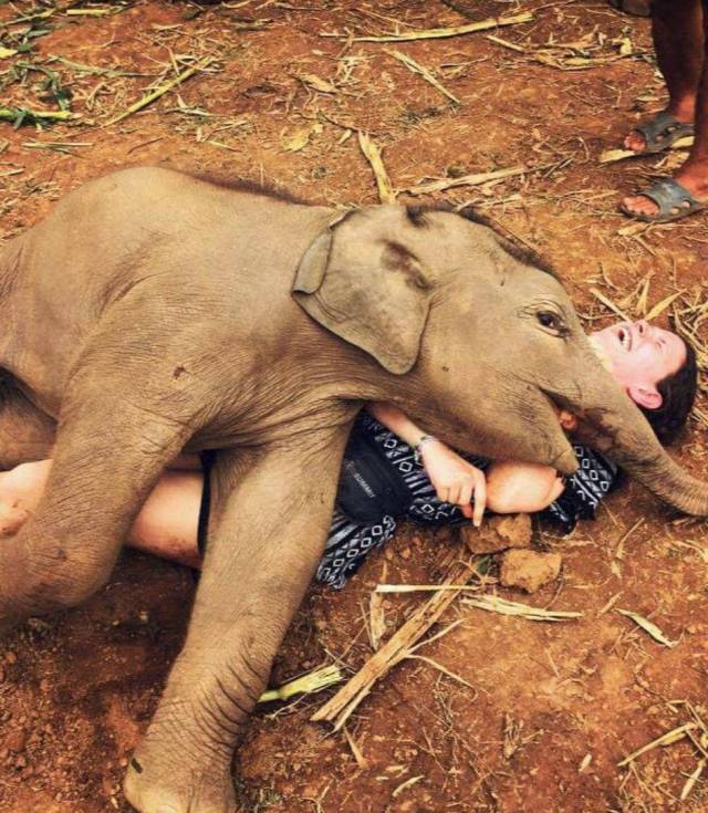 morning picdump 55 pics 18.html - 55 HD Photos | Premium Gallery 2017