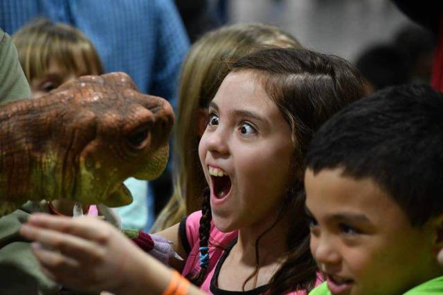 daily picdump 91 pics 5.html - 91 HD Photos | Premium Gallery 2017