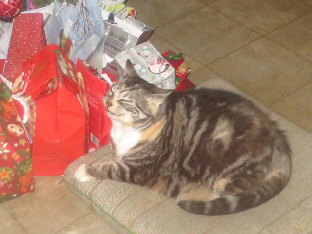 daily picdump 91 pics 5.html - 91 HD Photos | Premium Gallery 2017