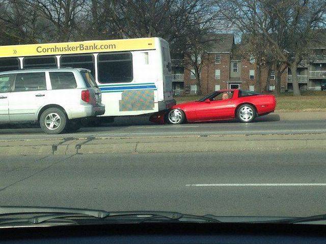 daily picdump 91 pics 5.html - 91 HD Photos | Premium Gallery 2017