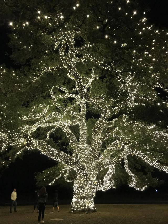 daily picdump 91 pics 5.html - 91 HD Photos | Premium Gallery 2017