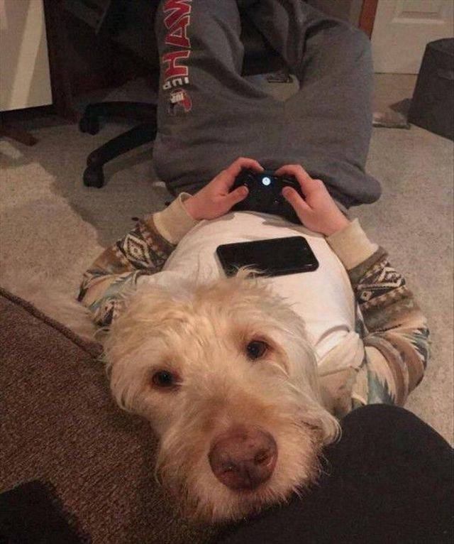 daily picdump 91 pics 5.html - 91 HD Photos | Premium Gallery 2017