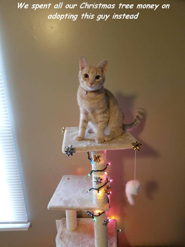 daily picdump 91 pics 5.html - 91 HD Photos | Premium Gallery 2017