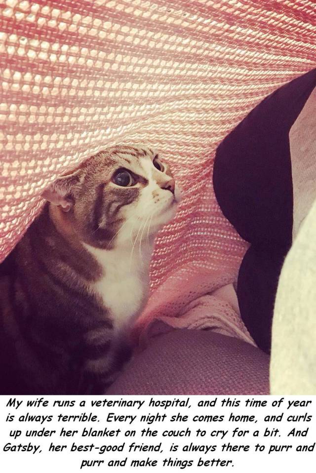 daily picdump 91 pics 5.html - 91 HD Photos | Premium Gallery 2017