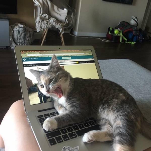 Daily Picdump [WEEKEND EDITION]