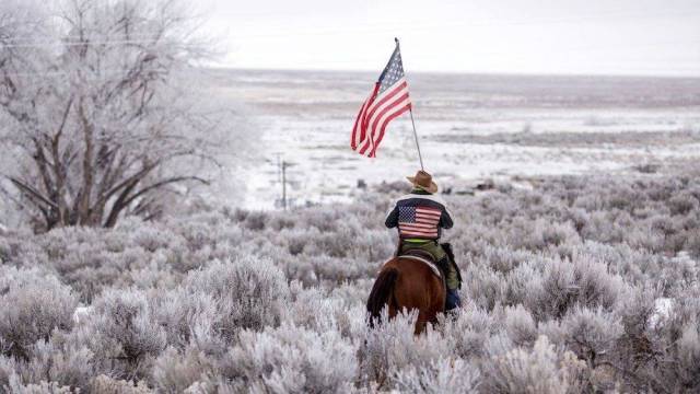 daily picdump weekend edition 60 pics 2.html - 60 HD Photos | Premium Gallery 2017