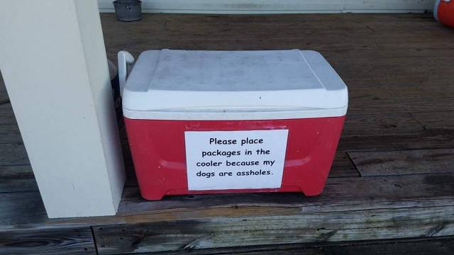 daily picdump weekend edition 60 pics 2.html - 60 HD Photos | Premium Gallery 2017