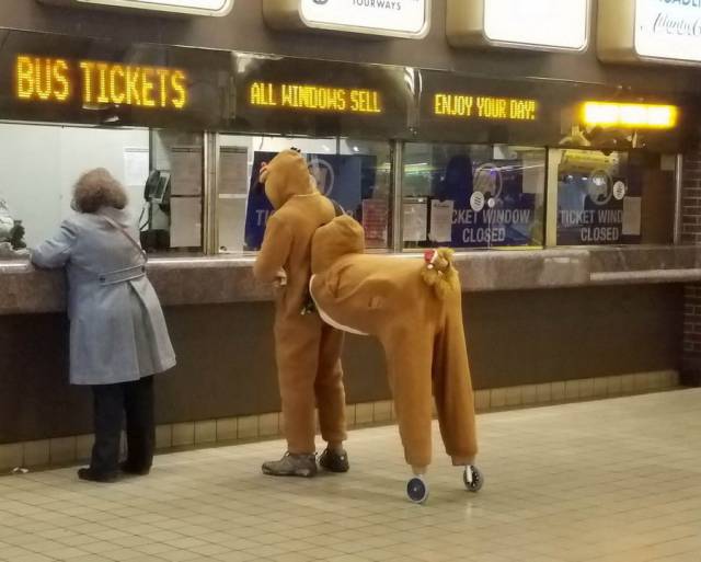 daily picdump weekend edition 60 pics 2.html - 60 HD Photos | Premium Gallery 2017