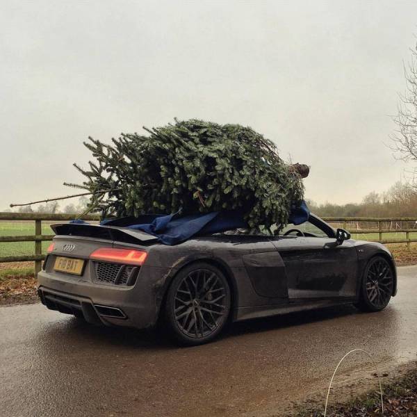 daily picdump weekend edition 60 pics 2.html - 60 HD Photos | Premium Gallery 2017