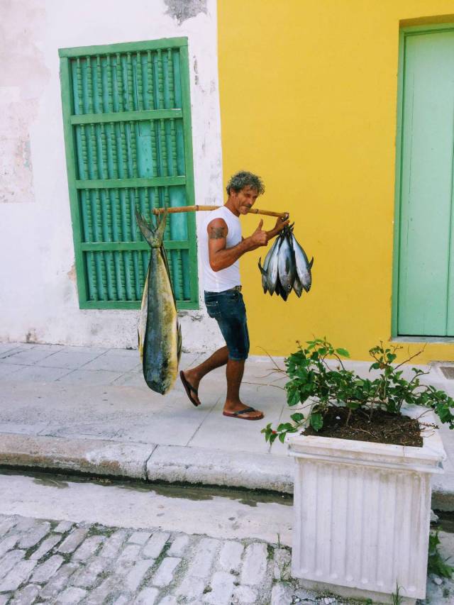 Daily Picdump [WEEKEND EDITION]