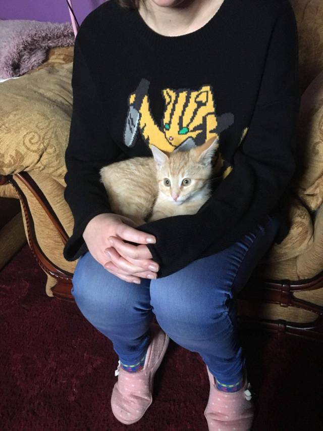 daily picdump weekend edition 60 pics 2.html - 60 HD Photos | Premium Gallery 2017