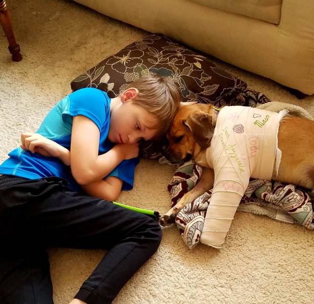 daily picdump 90 pics 16.html - 90 HD Photos | Premium Gallery 2017