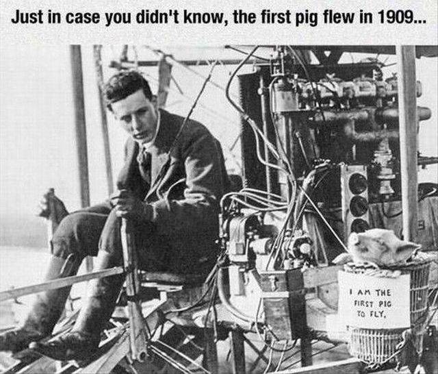 daily picdump 90 pics 16.html - 90 HD Photos | Premium Gallery 2017