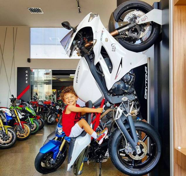 daily picdump 90 pics 16.html - 90 HD Photos | Premium Gallery 2017