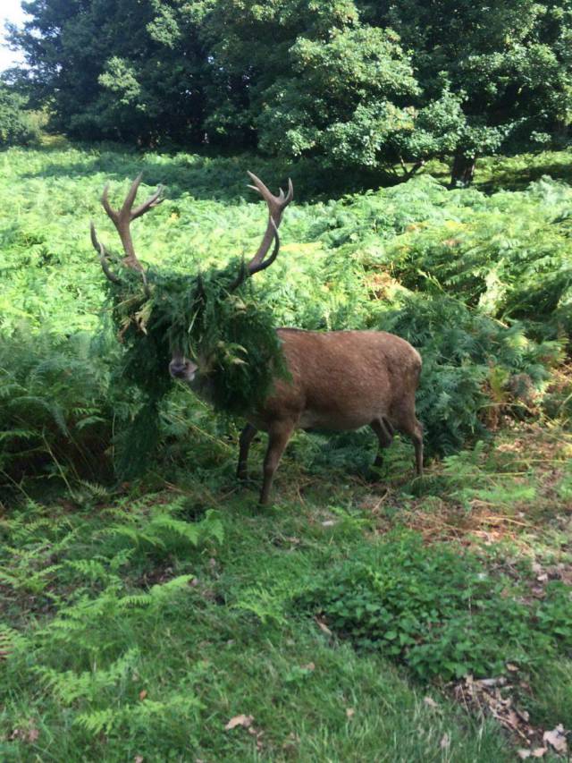 daily picdump 90 pics 16.html - 90 HD Photos | Premium Gallery 2017