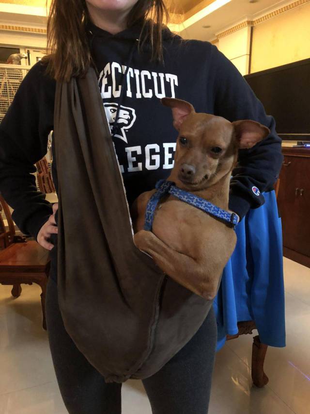 daily picdump 90 pics 16.html - 90 HD Photos | Premium Gallery 2017