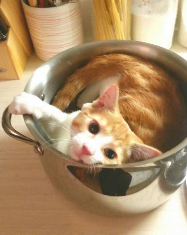 daily picdump 90 pics 16.html - 90 HD Photos | Premium Gallery 2017