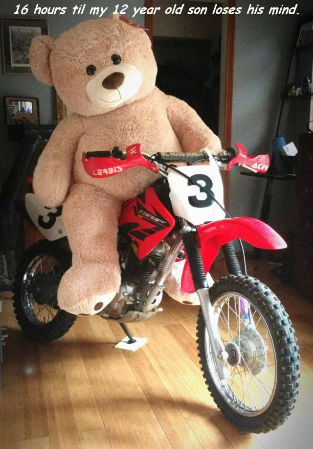 daily picdump 90 pics 16.html - 90 HD Photos | Premium Gallery 2017