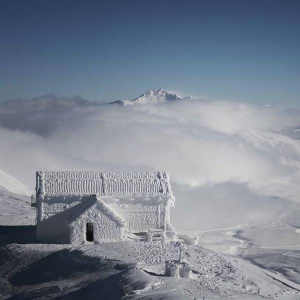 daily picdump 94 pics 45.html - 94 HD Photos | Premium Gallery 2017