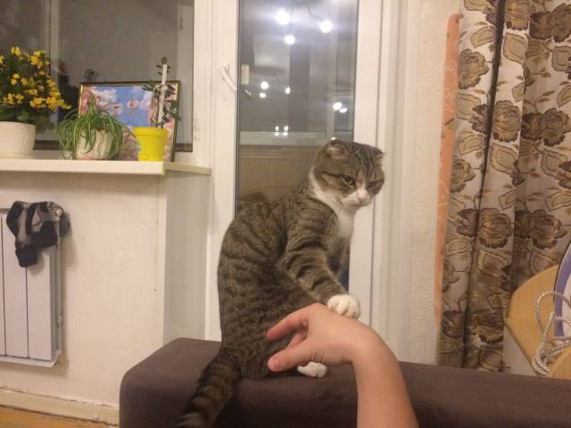 daily picdump 94 pics 45.html - 94 HD Photos | Premium Gallery 2017