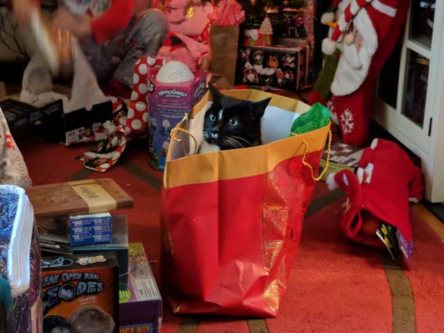 daily picdump 94 pics 45.html - 94 HD Photos | Premium Gallery 2017