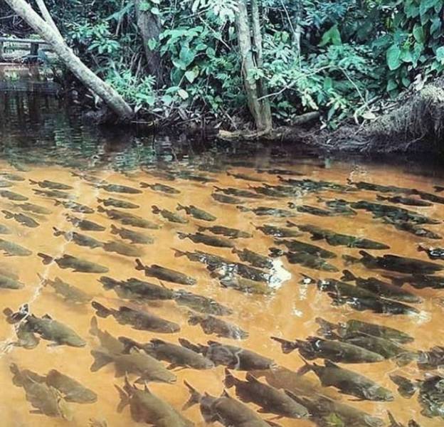 daily picdump 94 pics 45.html - 94 HD Photos | Premium Gallery 2017