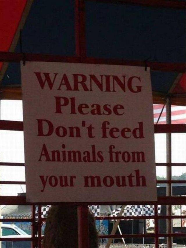 daily picdump 94 pics 45.html - 94 HD Photos | Premium Gallery 2017