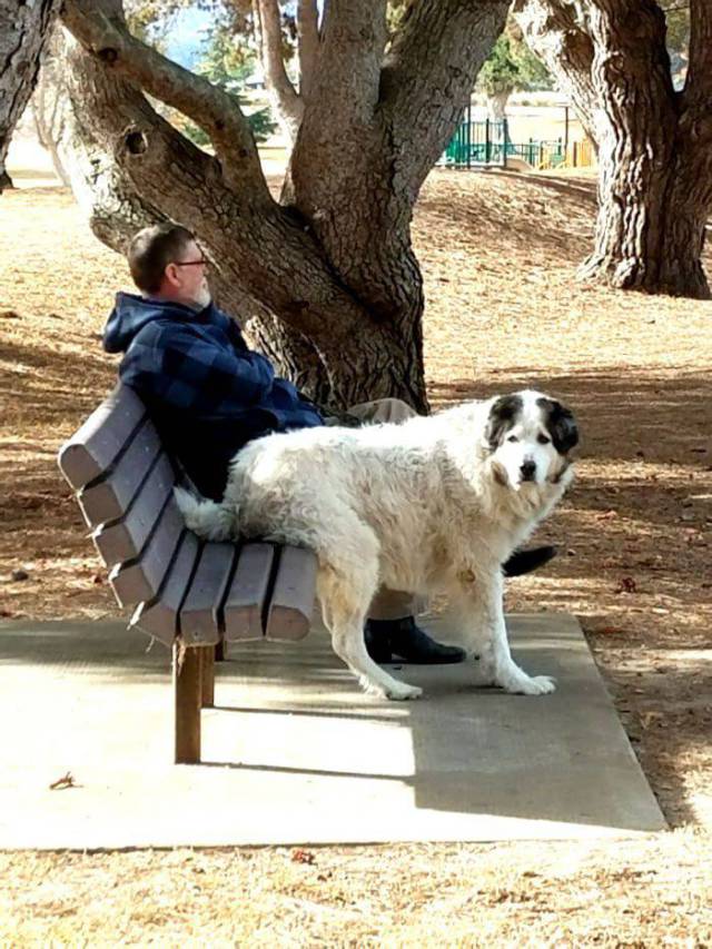 daily picdump 94 pics 45.html - 94 HD Photos | Premium Gallery 2017