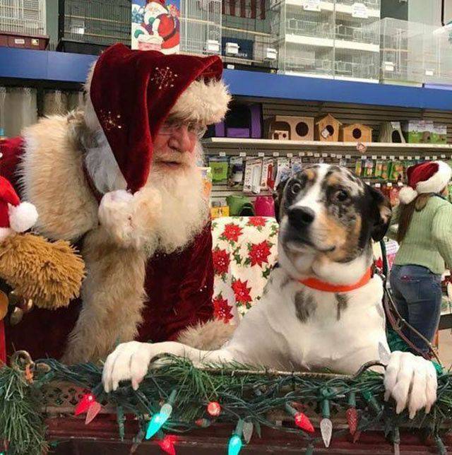 daily picdump 94 pics 45.html - 94 HD Photos | Premium Gallery 2017