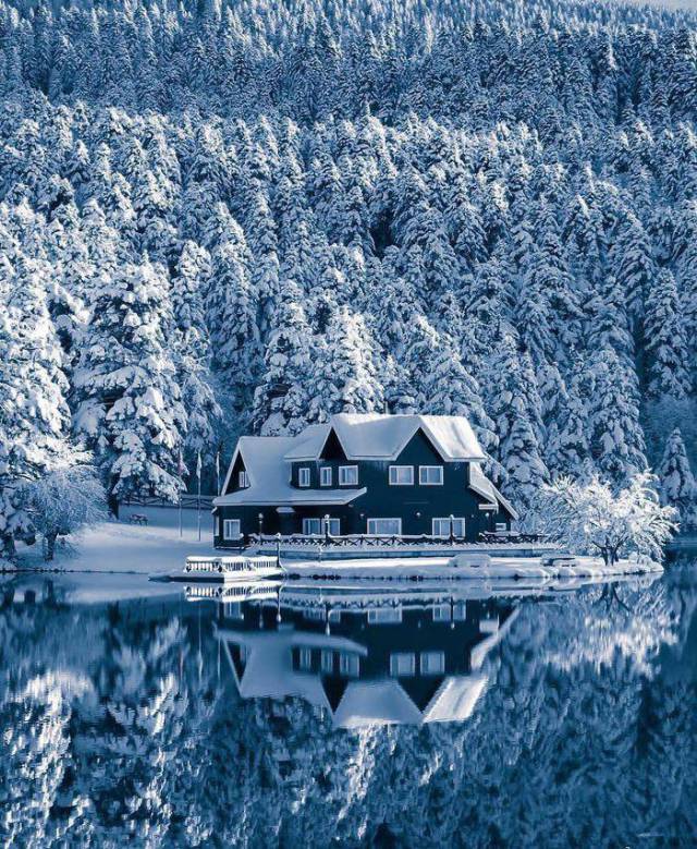 daily picdump 94 pics 45.html - 94 HD Photos | Premium Gallery 2017