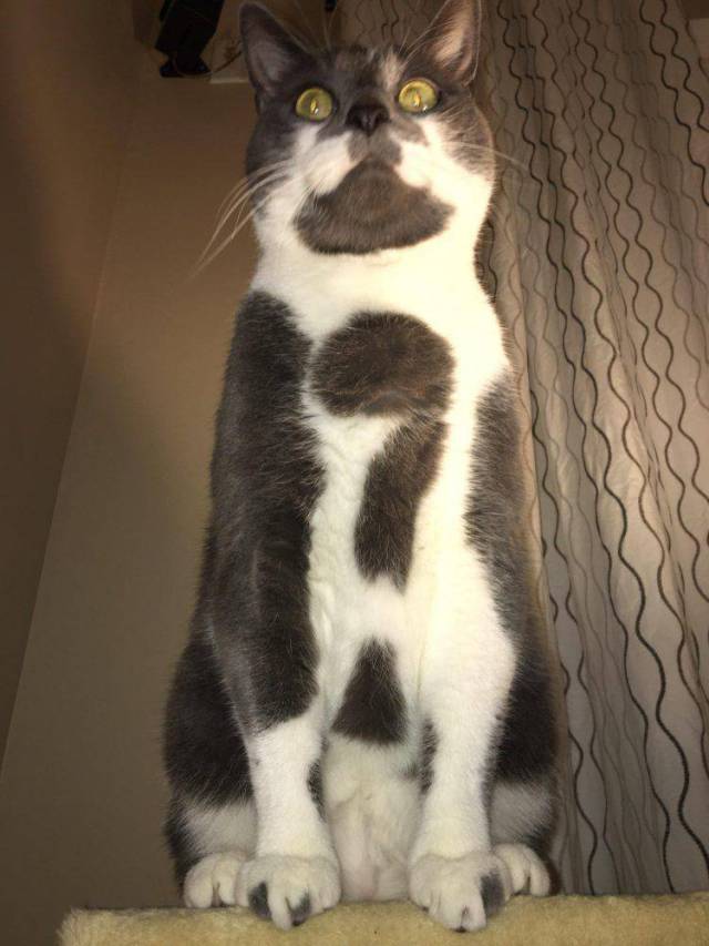 daily picdump 94 pics 45.html - 94 HD Photos | Premium Gallery 2017