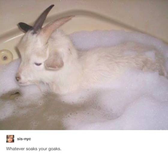 You Wouldn’t Want To See This Post