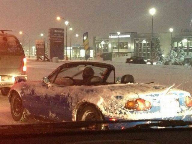 daily picdump 93 pics 39.html - 93 HD Photos | Premium Gallery 2017