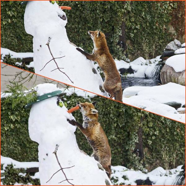 daily picdump 93 pics 39.html - 93 HD Photos | Premium Gallery 2017