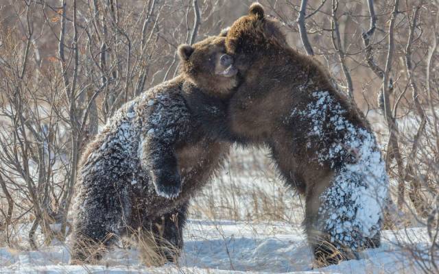 daily picdump 93 pics 39.html - 93 HD Photos | Premium Gallery 2017